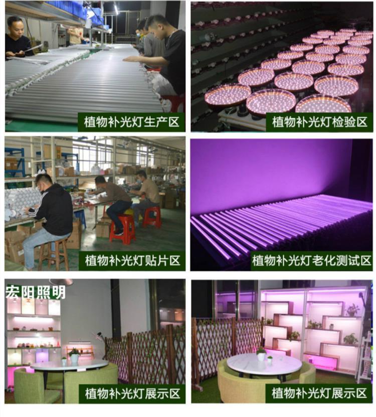 深圳植物灯厂家供应800W八爪鱼植物灯800W八爪鱼植物补光