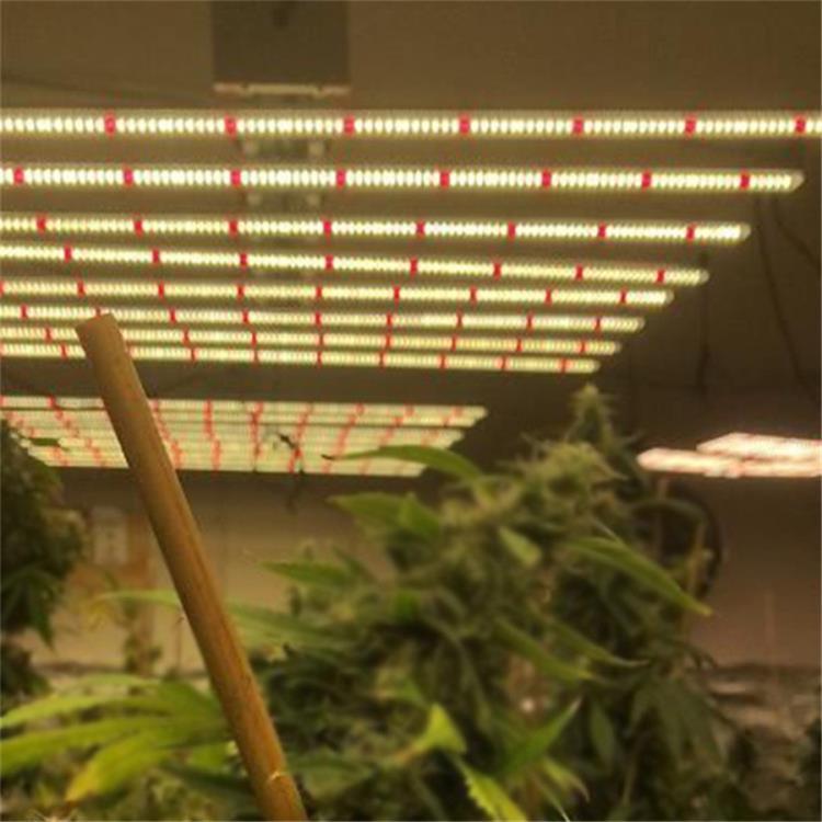 深圳植物灯厂家供应800W八爪鱼植物灯800W八爪鱼植物补光
