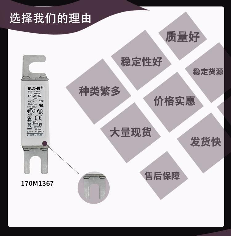 FWP-300A巴斯曼Bussmann低压熔断器功率模块