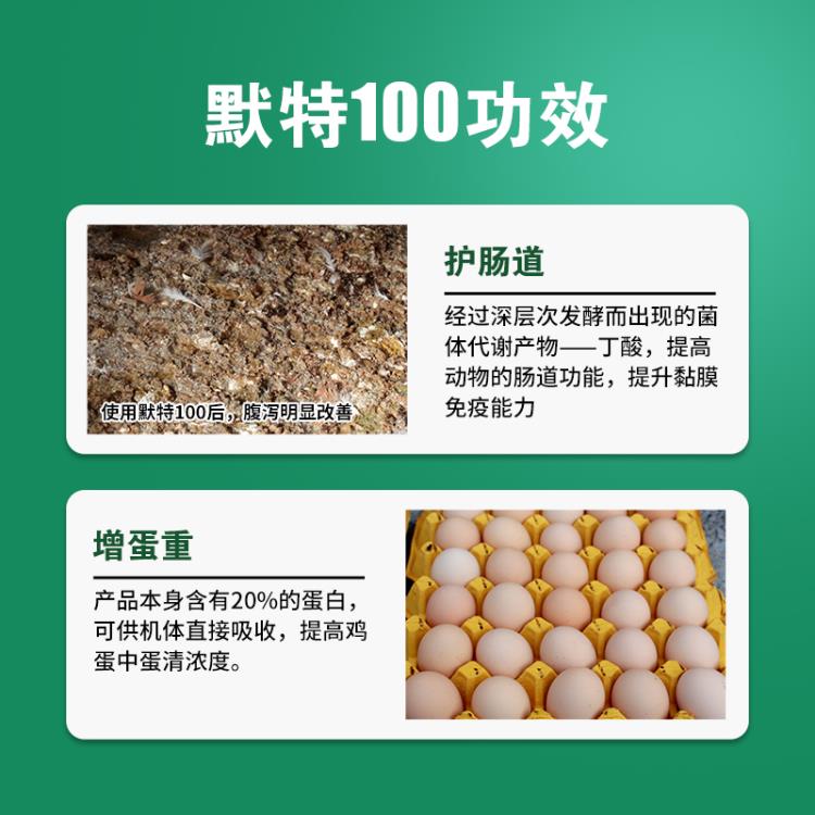 斐默特默特100蛋鸡饲料添加剂增蛋重蛋多多提免疫延长产蛋高峰