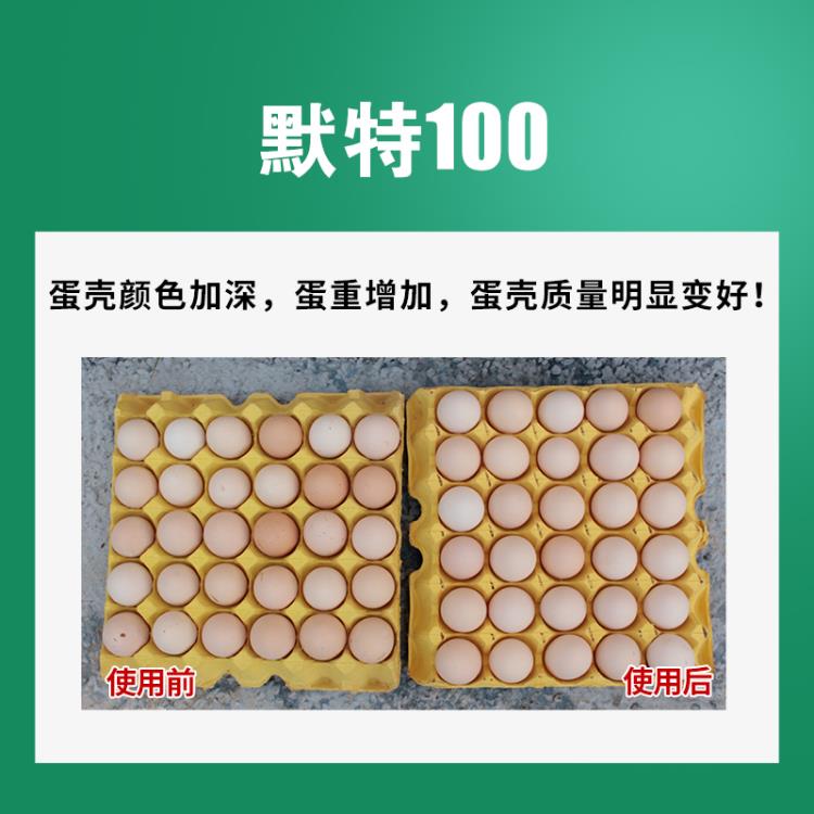 斐默特默特100蛋鸡饲料添加剂增蛋重蛋多多提免疫延长产蛋高峰