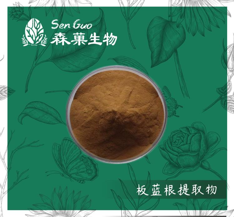 板蓝根提取物 植物提取物 森菓生物 现货直供