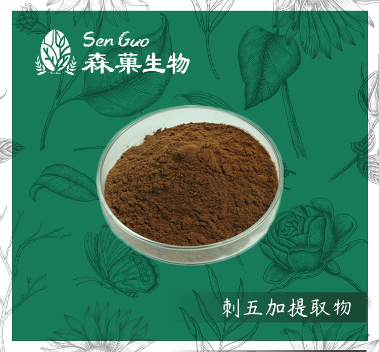 刺五加提取物 植物提取物 森菓生物 现货直供