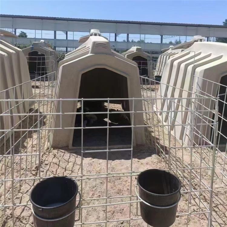犢牛養殖設備犢牛住所犢牛島生產廠家