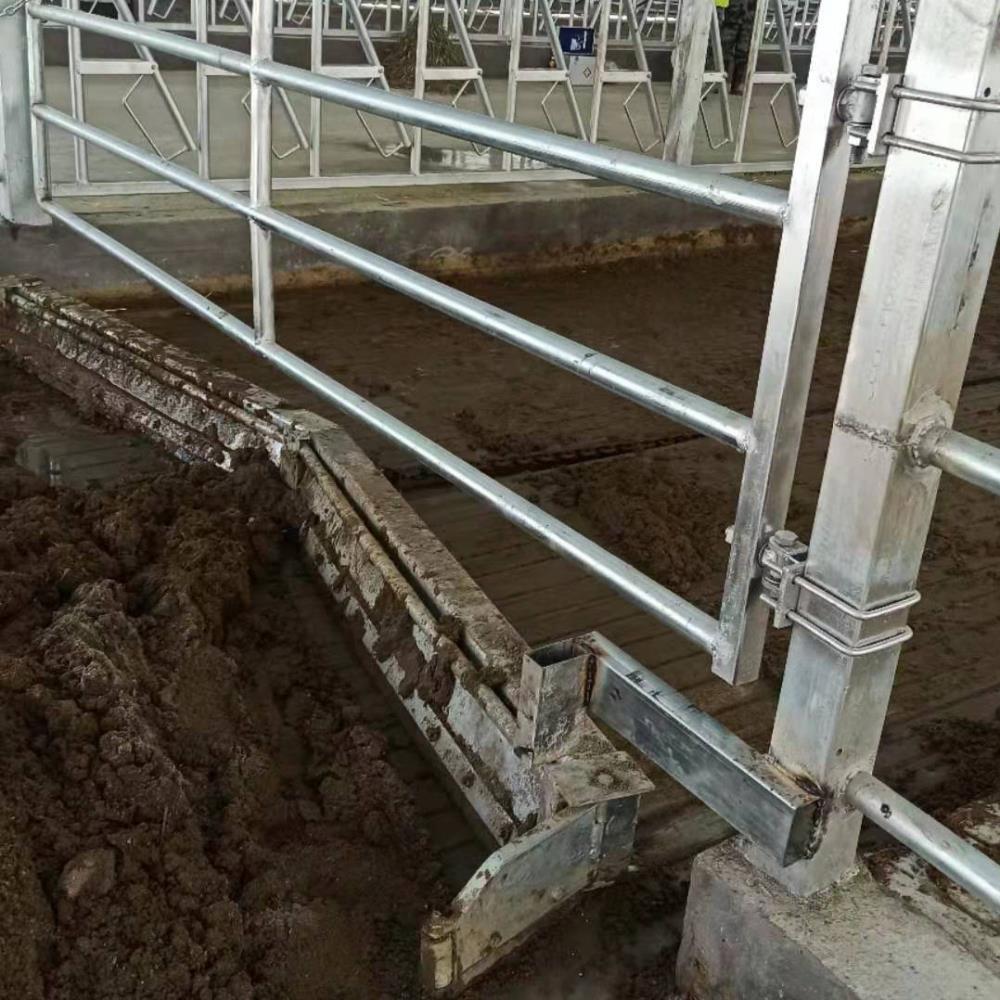 牛場清糞機械生產廠家恒力機械免費指導安裝