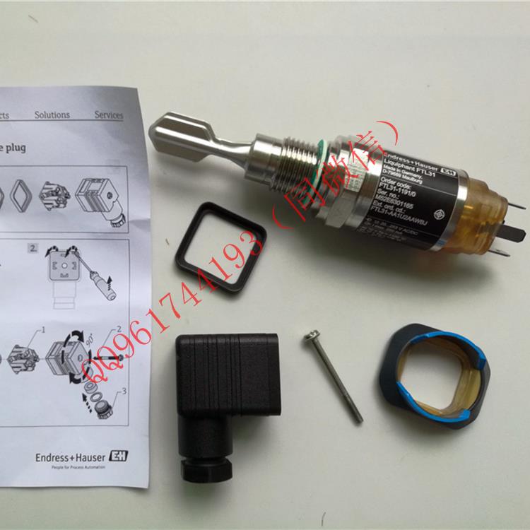 EH恩德斯豪斯FTL31-AA1U2AAWBJ音叉液位开关