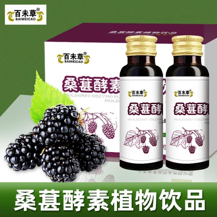 桑葚酵素植物饮品生产厂家代理或OEM贴牌生产