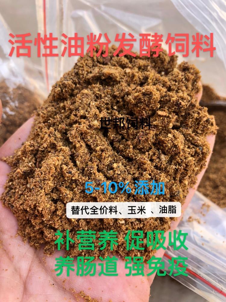 活性油粉饲料 替代全价料 玉米 添加剂型能量饲料 营养健康