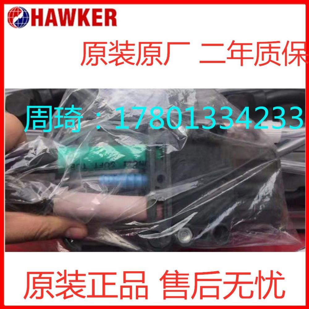 HAWKERPZS霍克叉车蓄电池2PZS230