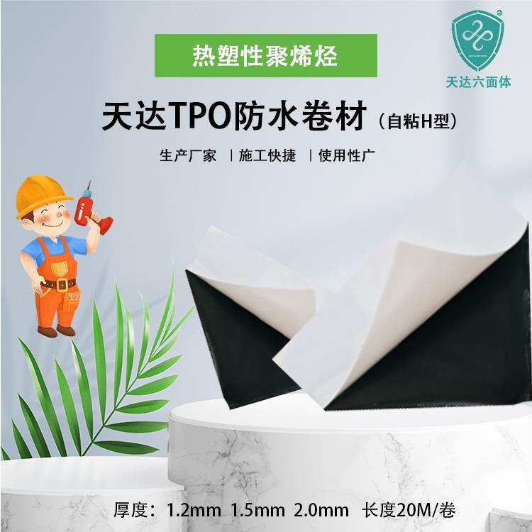 热塑性聚烯烃自粘H性TPO防水卷材