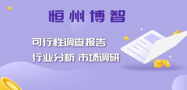 2021全球及中國鋅丸行業(yè)研究及十四五規(guī)劃分析報告