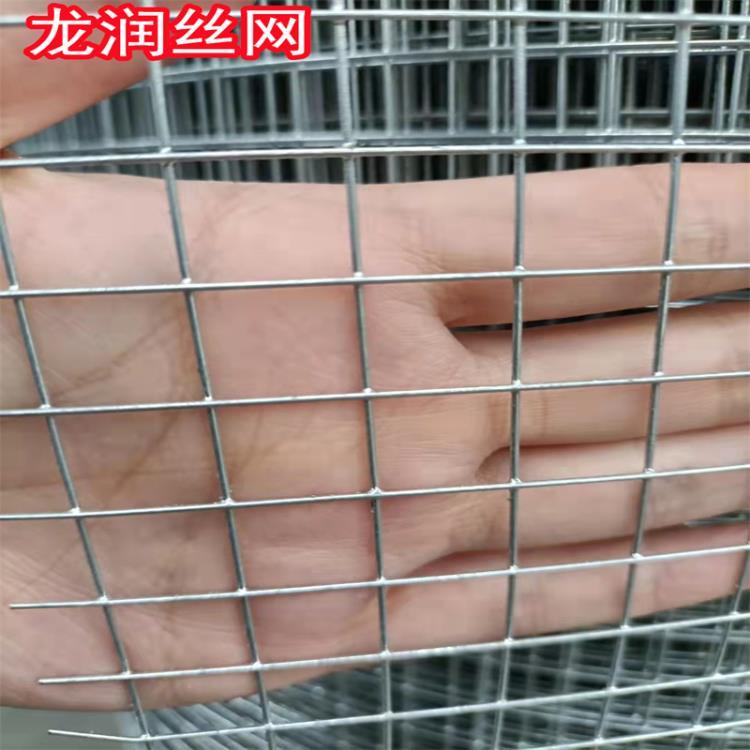 青浦龙润丝网家用圈地养鸡防护镀锌铁丝网家用圈地养鸡镀锌铁丝网