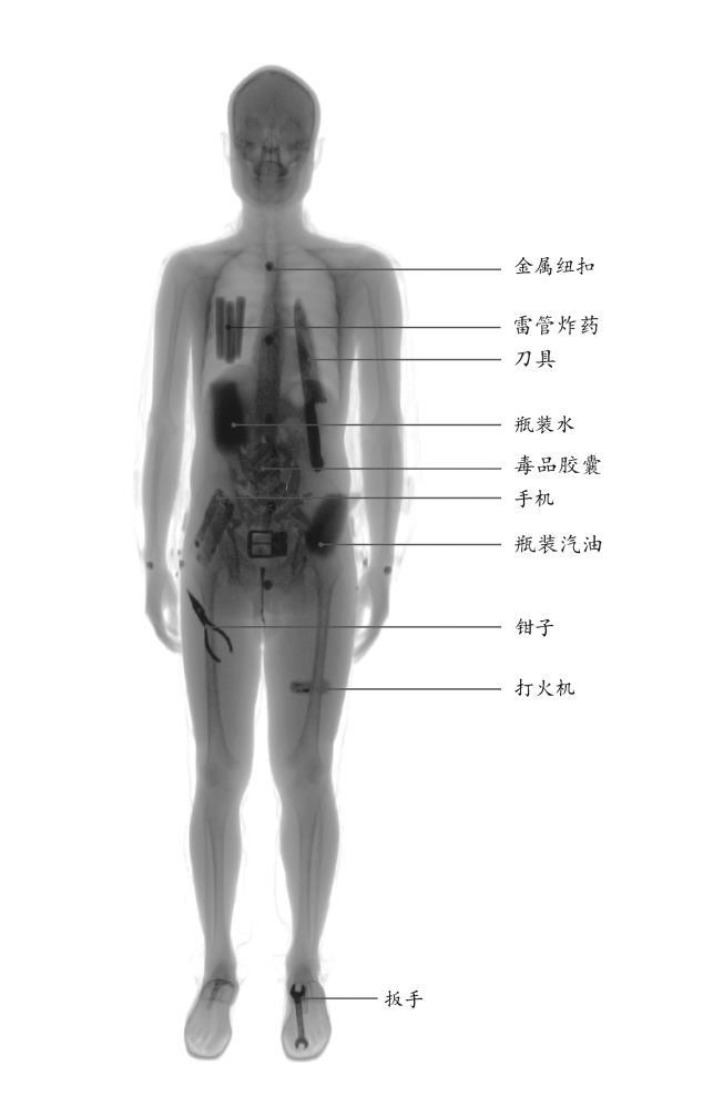 安徽启路达厂家供应单通道身体检测X光安检机5010-3A