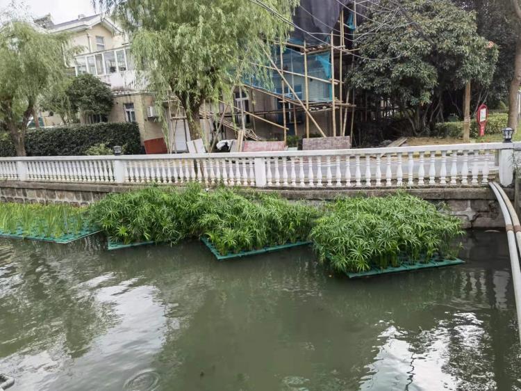 江西生态浮岛厂家 江西水生人工浮岛 江西生态浮床