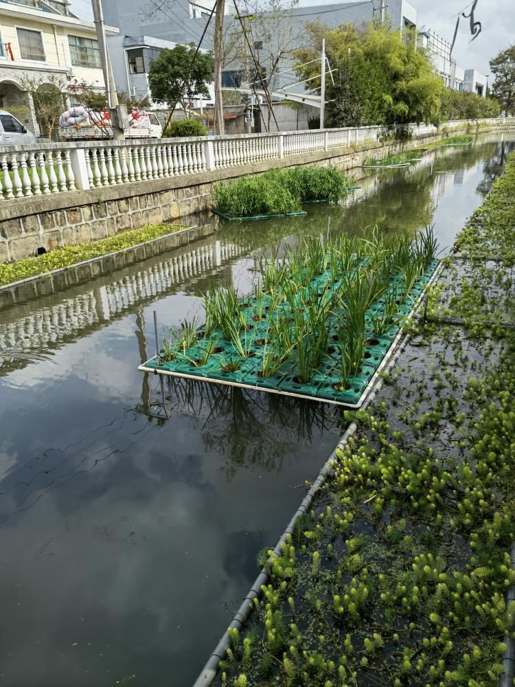 湖北生態(tài)浮床施工廠家 湖北地區(qū)生態(tài)浮床生物浮島