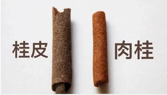肉桂進口清關