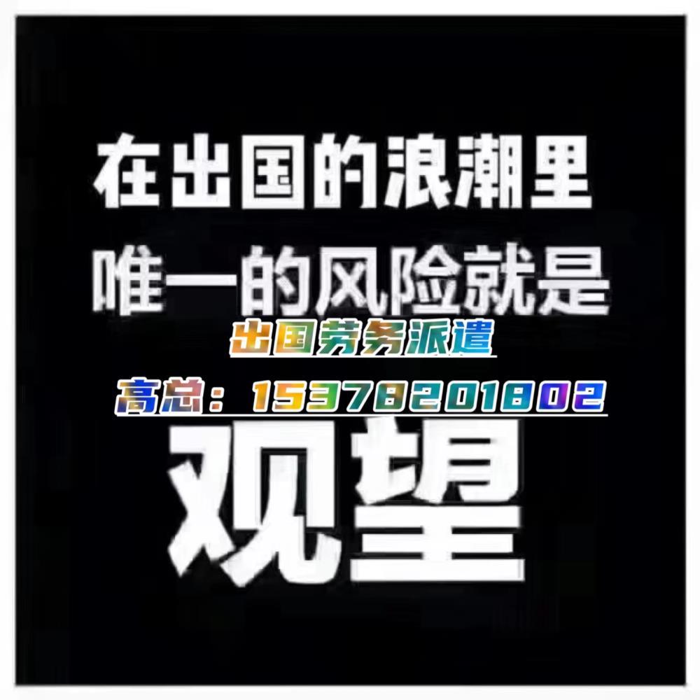 出国打工新西兰澳大利亚建筑工普工等年薪30万起包吃住出国劳务