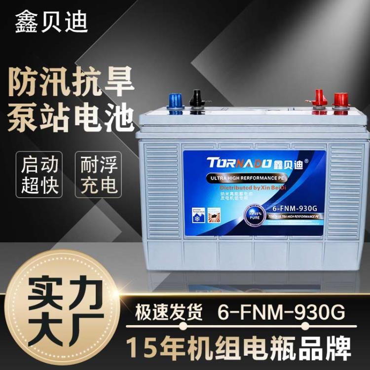 鑫貝迪發(fā)電機組蓄電池全封閉式發(fā)電機電池6-FNM-930G