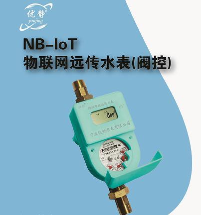 宁波水表 NB-IOT物联网水表  无线远传水表