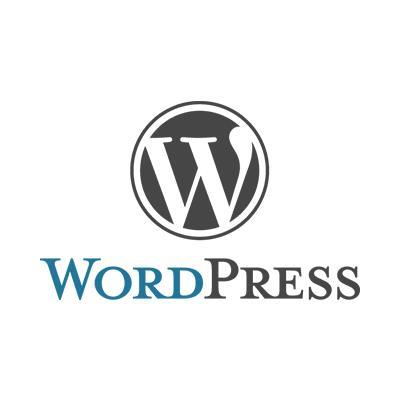 WordPress外贸网站开发WordPress搜索引擎运营