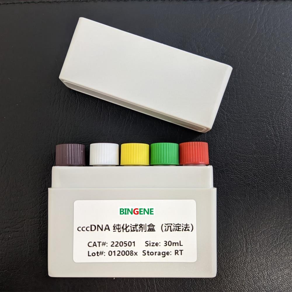 220501-50cccDNA 纯化试剂盒沉淀法