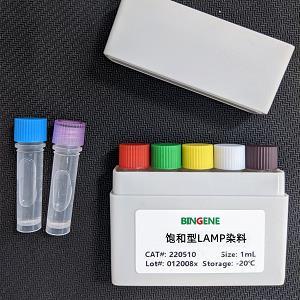 饱和型LAMP染料