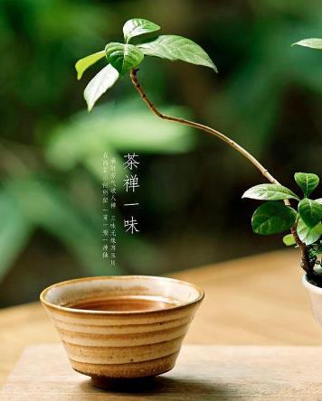 成都海选品茶的老牌场子各种新茶嫩茶任你饮