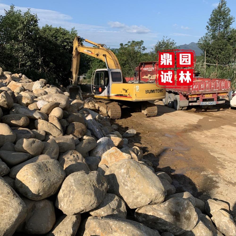 天然鹅卵石铺路铺地园林景观造景石河卵石水处理滤料变压器卵石