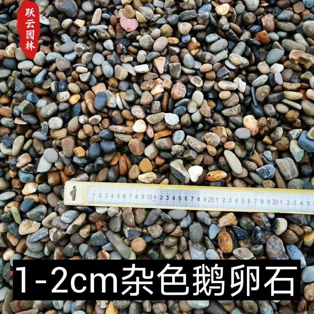 变电站储油池垫层鹅卵石化工滤石 河道水处理河卵石滤料