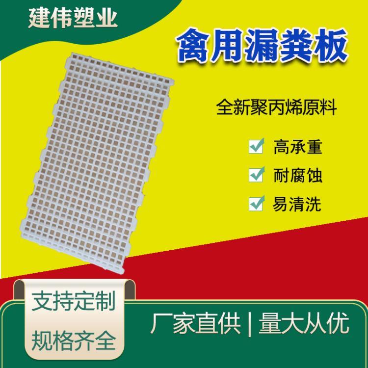 潍坊建伟塑业供应禽用塑料漏粪板 鸡舍加厚塑料漏粪板厂家直销