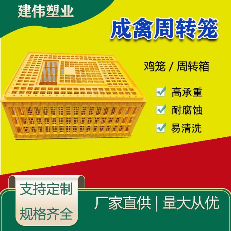 潍坊市建伟塑业供应禽用塑料运输笼家禽周转设备塑料鸡笼生产厂家