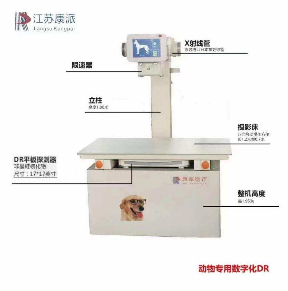 销售宠物专用数字化DR