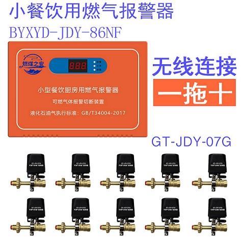 燃煤之安BYXYD-JDY-86NF燃?xì)馓綔y器