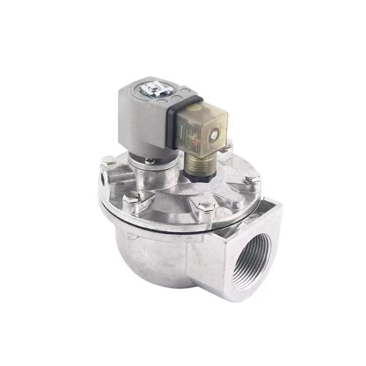 GOYEN吹打器線圈DC24V C53056N K0305