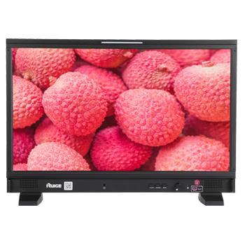 RUIGE TL-S2400HD SDI复合HDMI接口