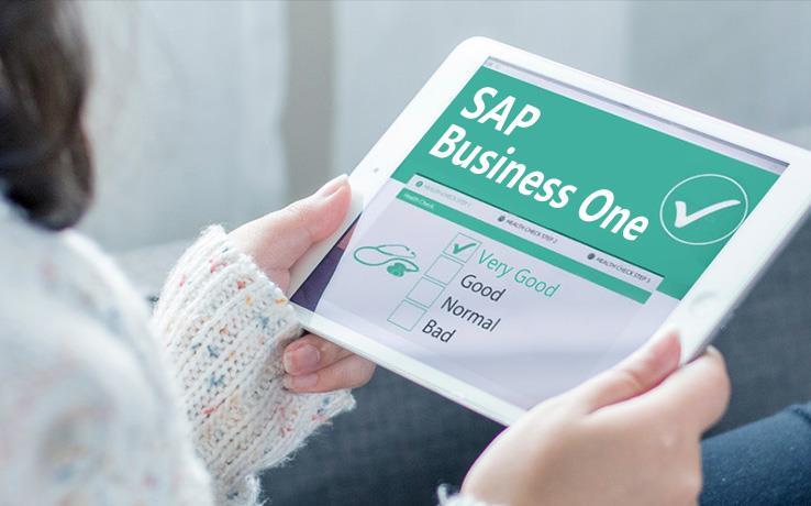 SAP Business One SAP B1系统代理商 哲