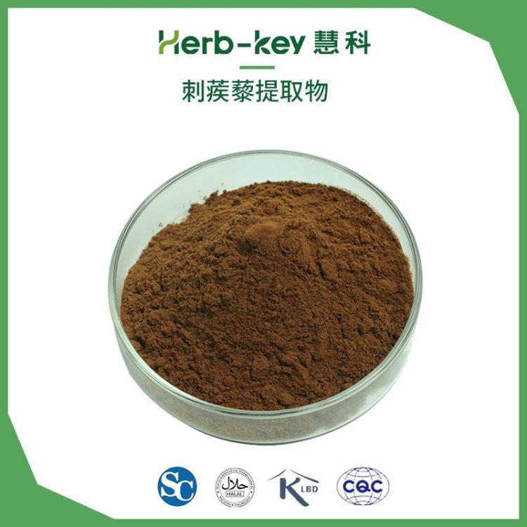 慧科 刺蒺藜提取物 皂苷50% 廠家直銷 產(chǎn)地植物 刺蒺藜皂