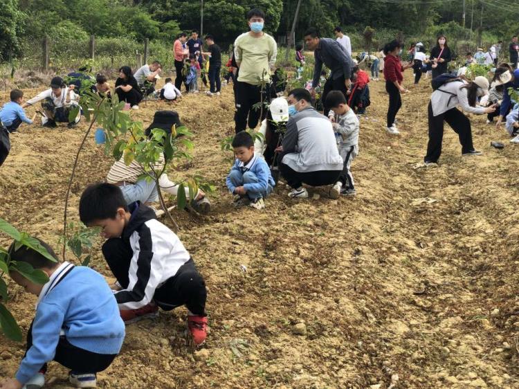 惠州班级亲子游可以植树的农家乐果盛生态园