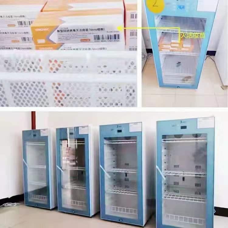 医用小型冰箱医用小冰箱