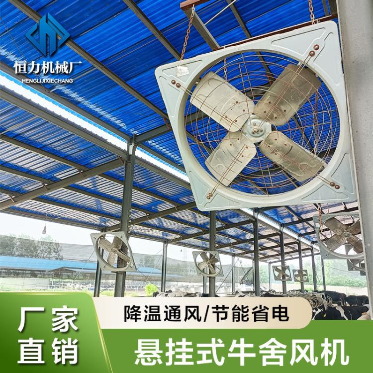 牛舍自動降溫設備 吹風距離遠鍍鋅外框懸掛式牛舍風扇