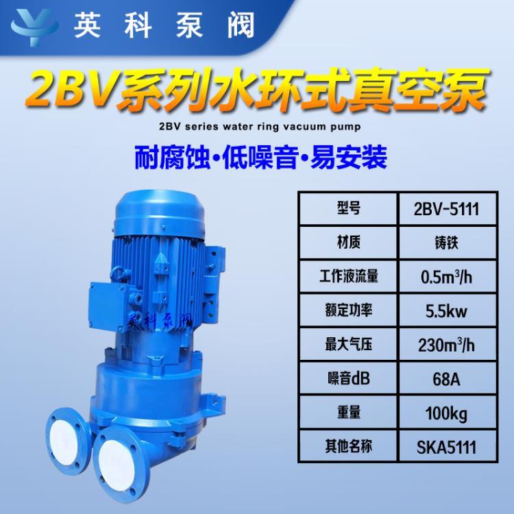 2BV-5111水环式真空泵