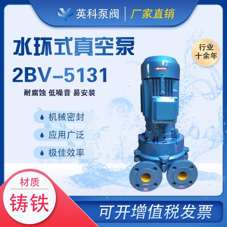 2BV5-131水环式真空泵