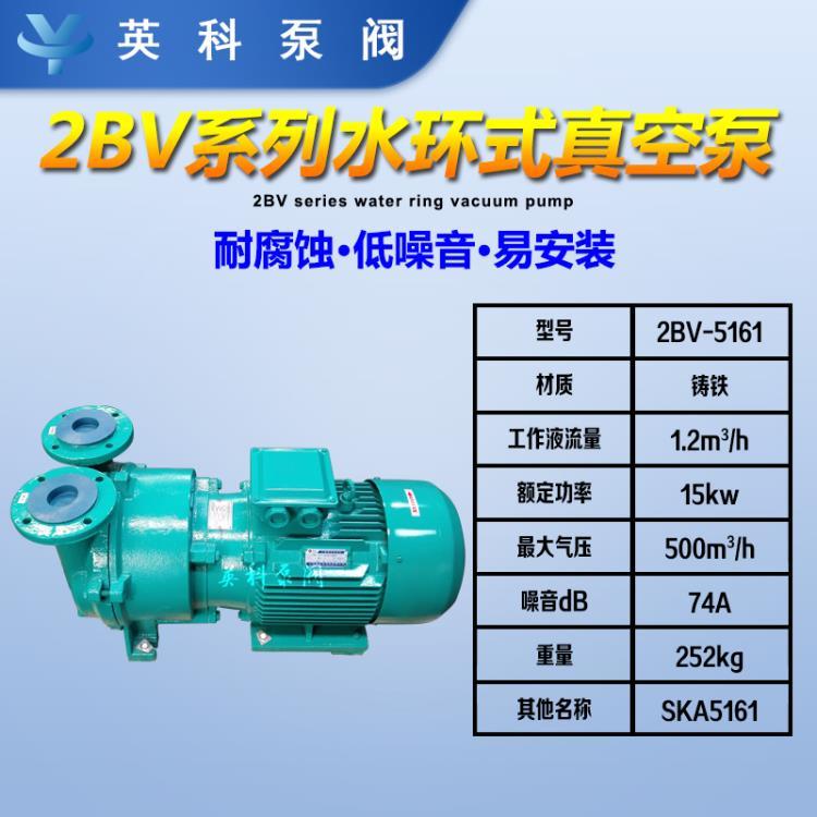 2BV-5161水环式真空泵