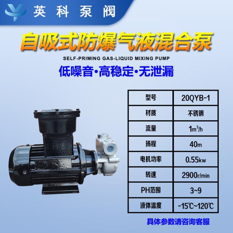 自吸式防爆气液混合泵