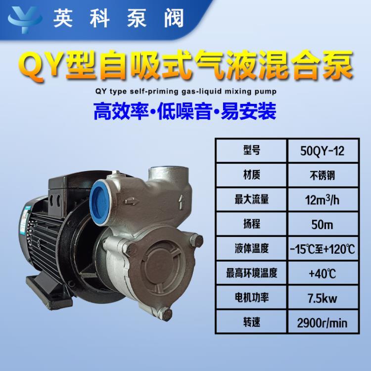 50QY-15气液混合泵