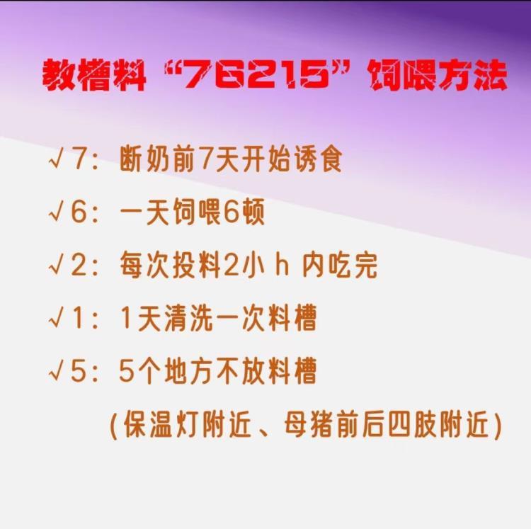 同慧小猪饲料核包蛋猪饲料