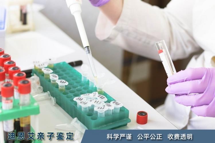 成都龙泉驿个人亲子鉴定 保护隐私 科学公正